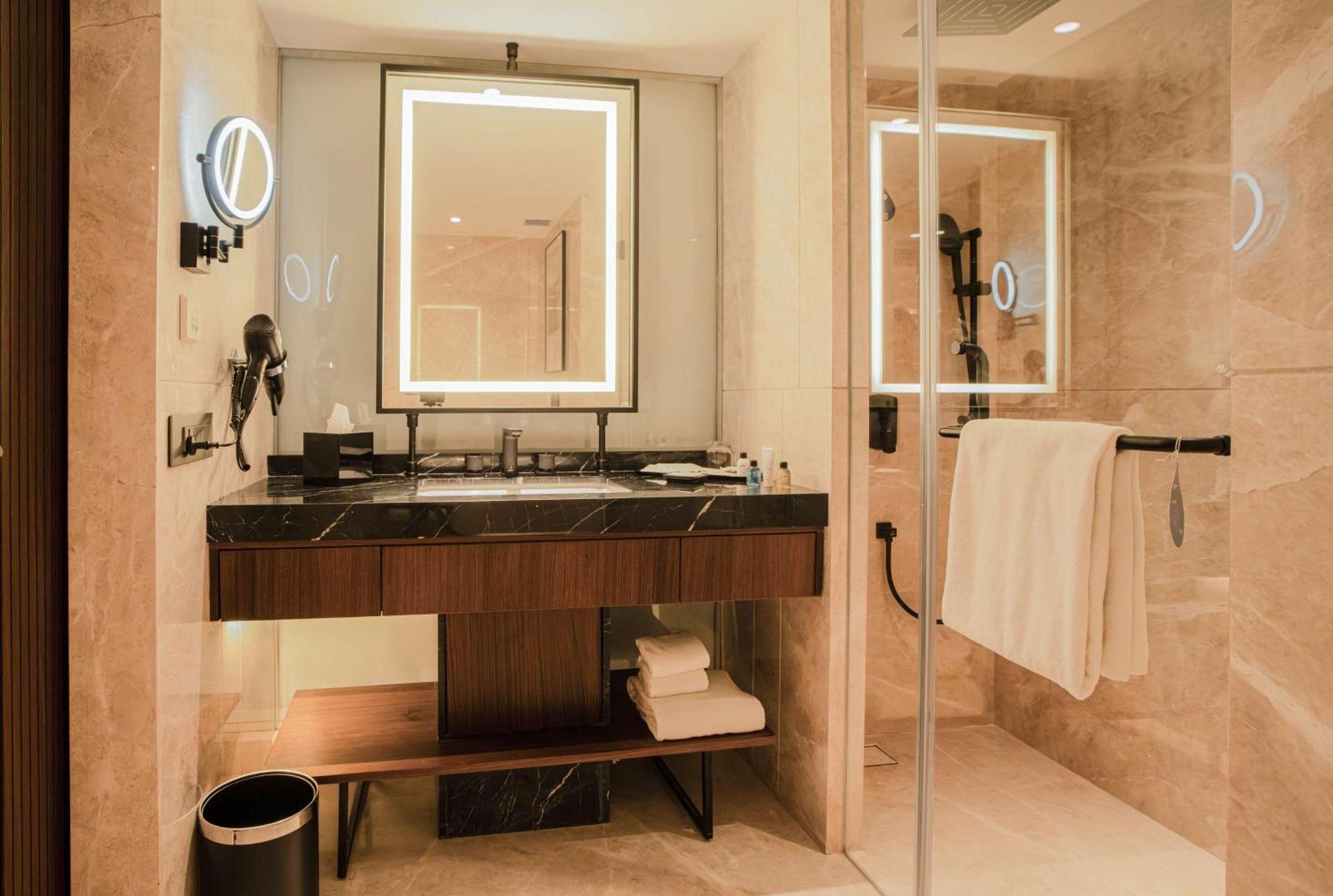 Radisson Blu Hotel Ахмедабад Екстер'єр фото Bathroom